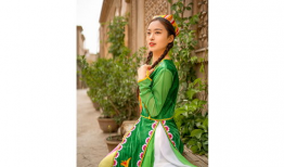 国产精品绿衣女孩是谁,揭开神秘面纱的青春偶像